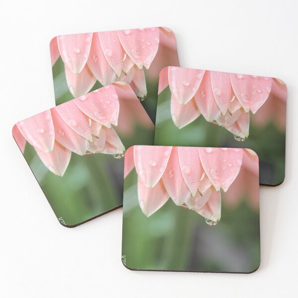 Item preview, Water droplet on Pink Daisy designed and sold by KOneillPics.