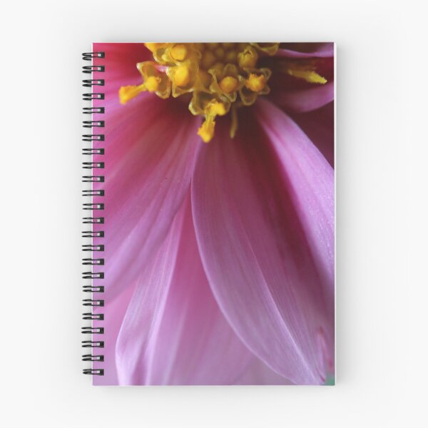 Item preview, Golden Yellow center and pink petals designed and sold by KOneillPics.