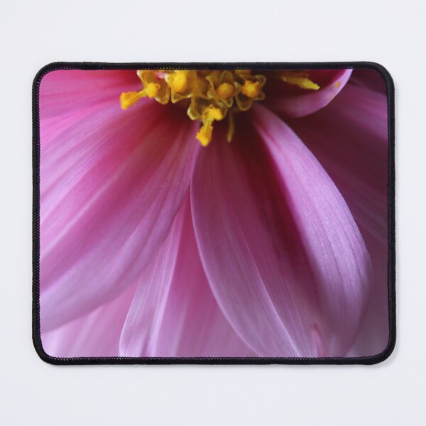Item preview, Golden Yellow center and pink petals designed and sold by KOneillPics.