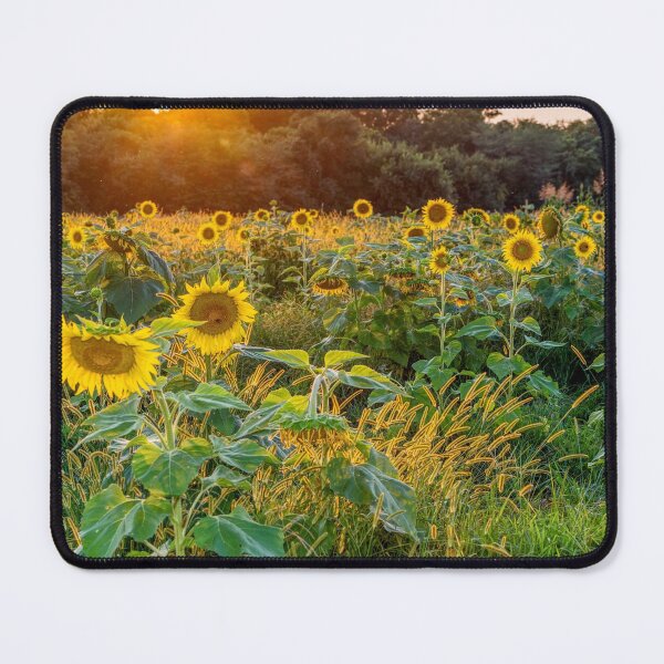 Item preview, Field Of Golden Sunflowers designed and sold by mljdwhite.
