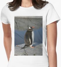 Gentoo Penguin Women's Fitted T-Shirt