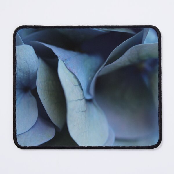 Item preview, blue hydrangea designed and sold by KOneillPics.