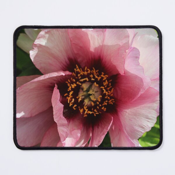 Item preview, Pink peony designed and sold by KOneillPics.