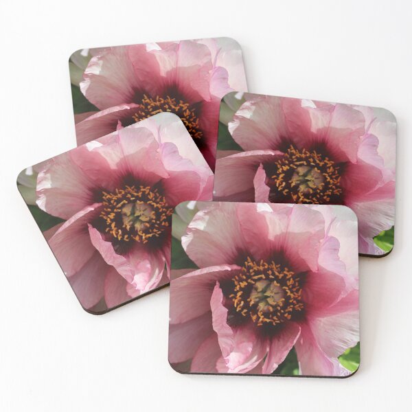 Item preview, Pink peony designed and sold by KOneillPics.