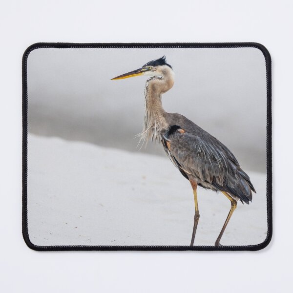 Item preview, Blue Heron Strutting Navarre Beach designed and sold by mljdwhite.