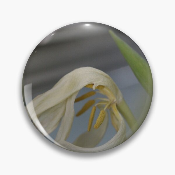 Item preview, White Dried Flower designed and sold by KOneillPics.