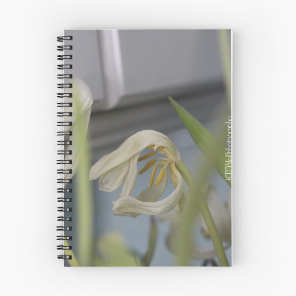 Item preview, White Dried Flower designed and sold by KOneillPics.