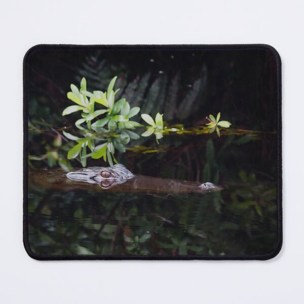 Item preview, Alligator Reflection in Swamp Water designed and sold by KbytesOfJax Outdoor and Nature.