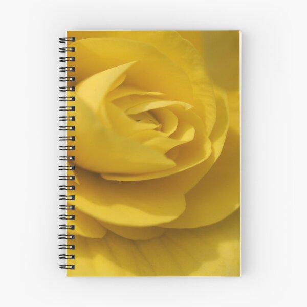 Item preview, Yellow Rose designed and sold by KOneillPics.