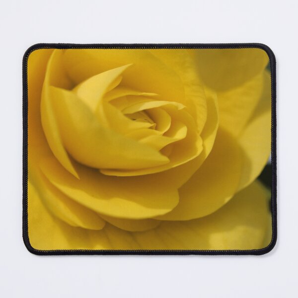 Item preview, Yellow Rose designed and sold by KOneillPics.