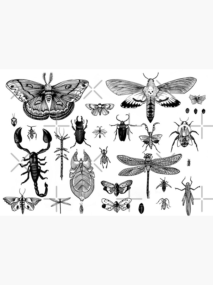 Bug Board by aimeecozza
