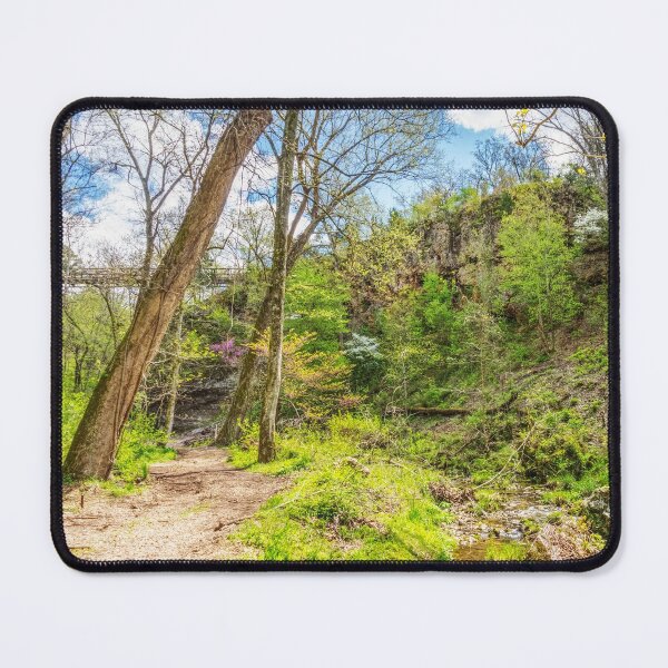 Artikelvorschau, Entlang des Dripping Springs Trail entworfen und verkauft von mljdwhite.