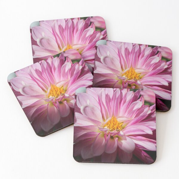 Item preview, Sunshine on Pink Flower designed and sold by KOneillPics.