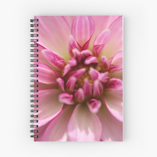 Item preview, Pink flower close up  designed and sold by KOneillPics.