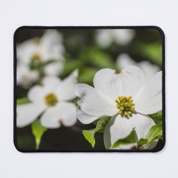 Item preview, Dogwood Bloom designed and sold by mljdwhite.