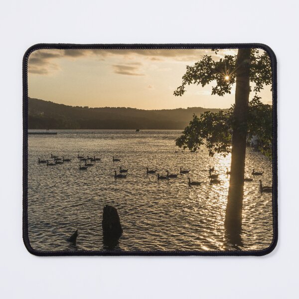 Item preview, Canada Geese Sahara Dust Sunset designed and sold by mljdwhite.