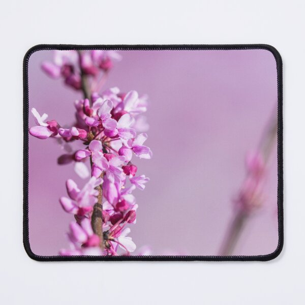 Item preview, Select Focus Avondale Redbud Blooms designed and sold by mljdwhite.