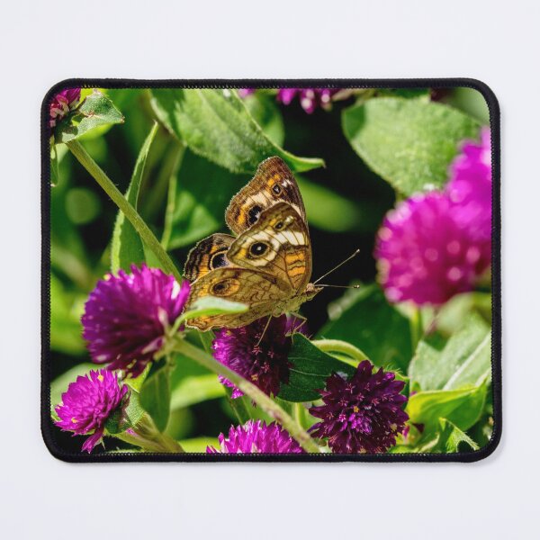 Item preview, Buckeye Butterfly On Globe Amaranth designed and sold by mljdwhite.