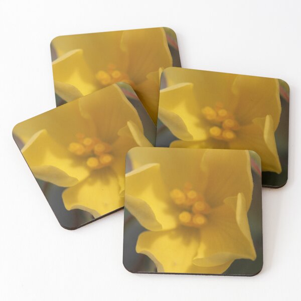 Item preview, Close up all yellow flower designed and sold by KOneillPics.