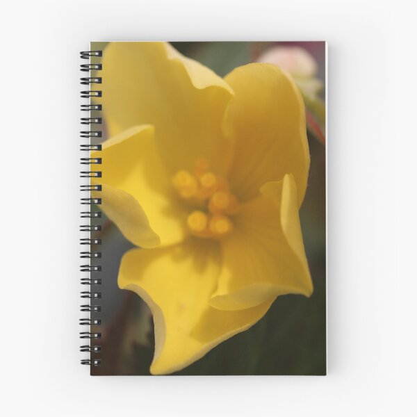 Item preview, Close up all yellow flower designed and sold by KOneillPics.