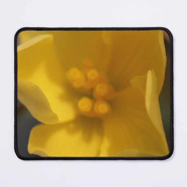 Item preview, Close up all yellow flower designed and sold by KOneillPics.
