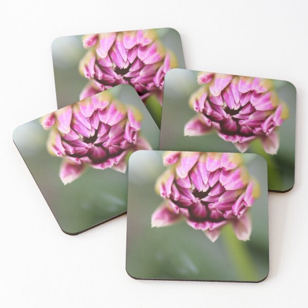 Item preview, Bud of pink flower designed and sold by KOneillPics.