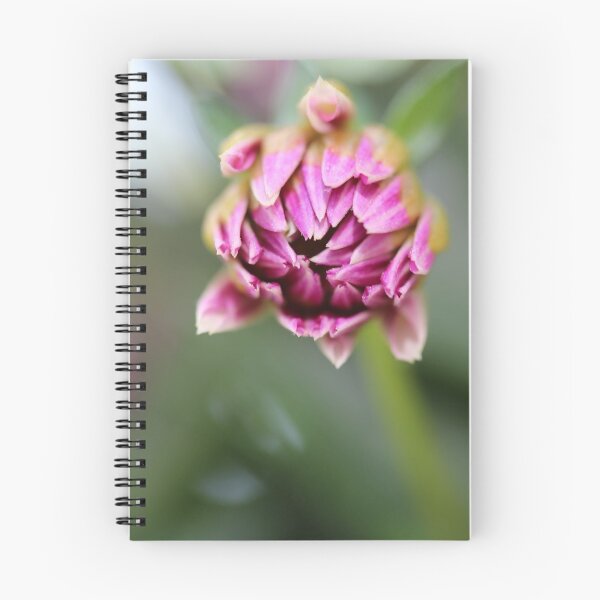 Item preview, Bud of pink flower designed and sold by KOneillPics.