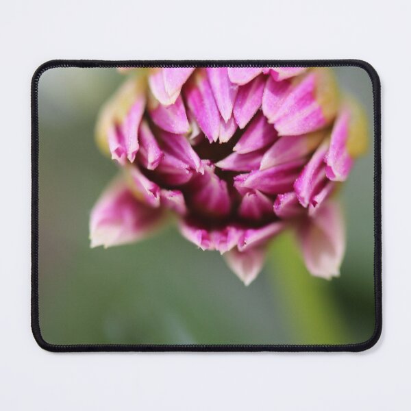 Item preview, Bud of pink flower designed and sold by KOneillPics.