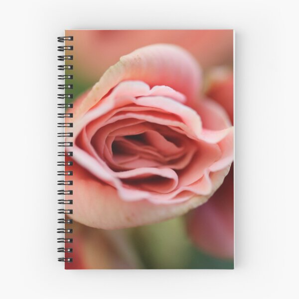 Item preview, Inside of pink rose designed and sold by KOneillPics.