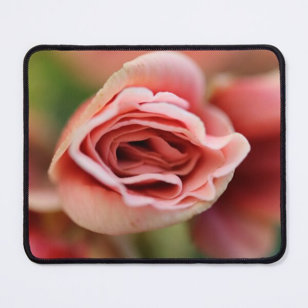 Item preview, Inside of pink rose designed and sold by KOneillPics.