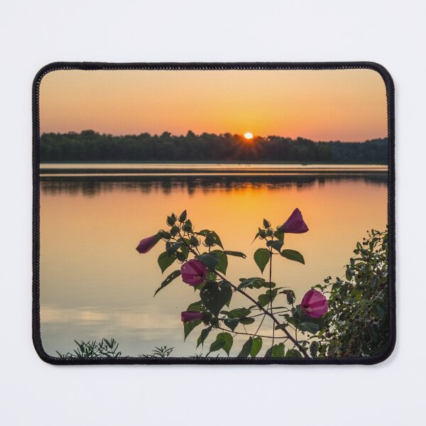 Item preview, Lake Springfield Hibiscus Sunrise designed and sold by mljdwhite.