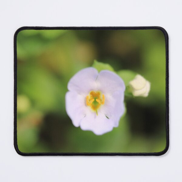 Item preview, Tiny White Flower designed and sold by KOneillPics.
