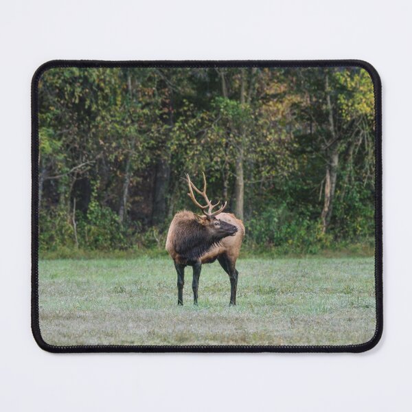 Item preview, Mighty Bull Elk designed and sold by mljdwhite.