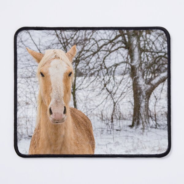Item preview, Blonde Horse Hair Part designed and sold by mljdwhite.
