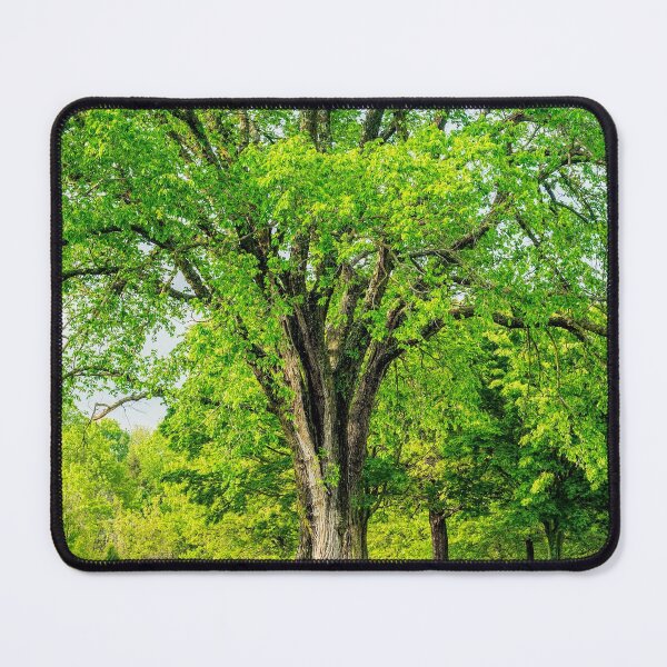 Item preview, Large Elm Tree Vertical designed and sold by mljdwhite.