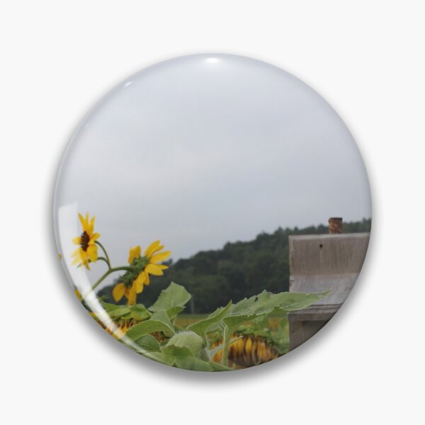 Item preview, Birdhouse in middle sunflower field designed and sold by KOneillPics.