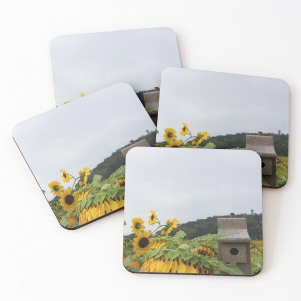 Item preview, Birdhouse in middle sunflower field designed and sold by KOneillPics.