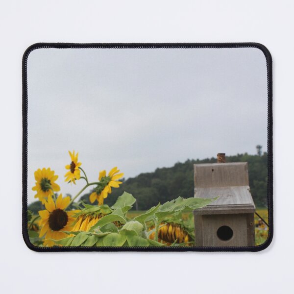 Item preview, Birdhouse in middle sunflower field designed and sold by KOneillPics.
