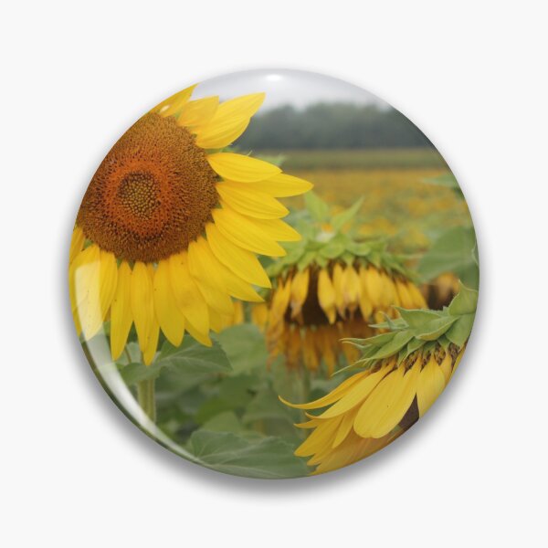 Item preview, Sunflowers designed and sold by KOneillPics.