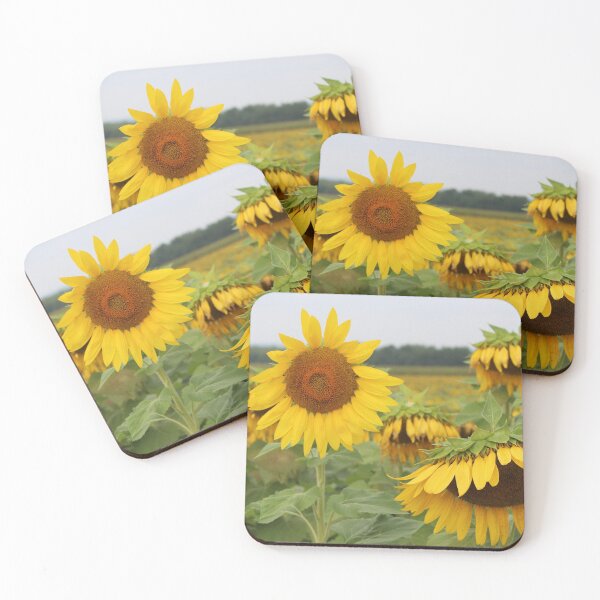 Artikelvorschau, Sonnenblumen entworfen und verkauft von KOneillPics.