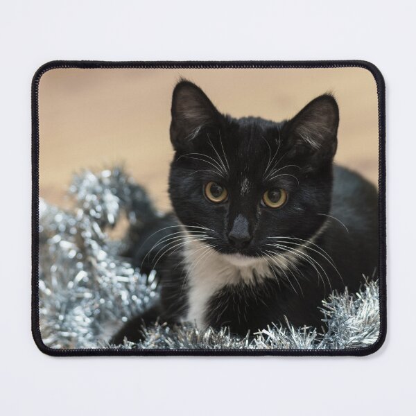 Item preview, Tinsel Tuxedo Kitty designed and sold by mljdwhite.