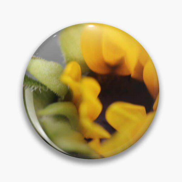Item preview, Sunflower close up designed and sold by KOneillPics.