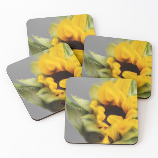 Item preview, Sunflower close up designed and sold by KOneillPics.