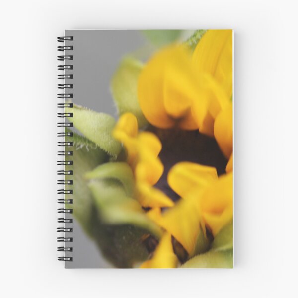 Item preview, Sunflower close up designed and sold by KOneillPics.