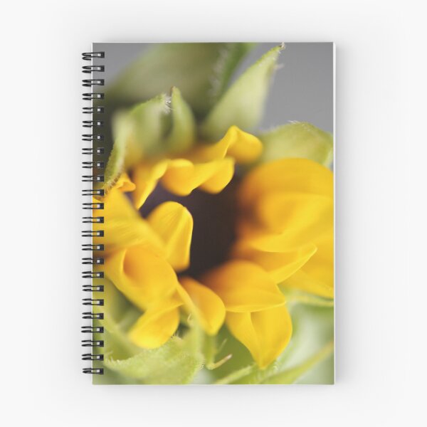 Item preview, Close-up of Sunflower designed and sold by KOneillPics.