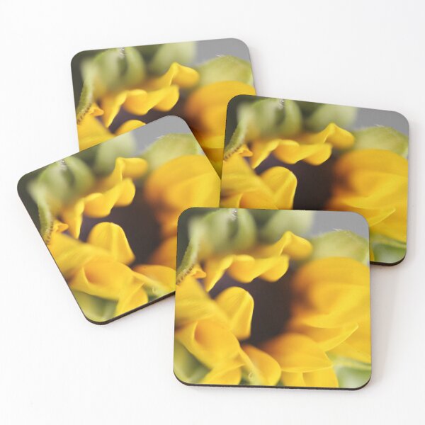 Item preview, Close-up of Sunflower designed and sold by KOneillPics.