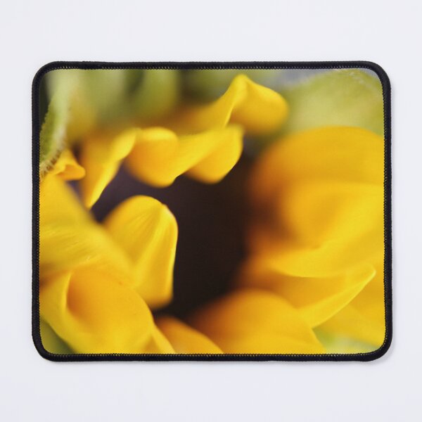 Item preview, Close-up of Sunflower designed and sold by KOneillPics.