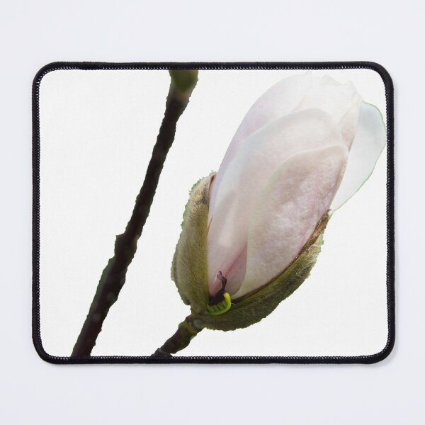 Item preview, White Merrill Loebner Magnolia Bud designed and sold by mljdwhite.
