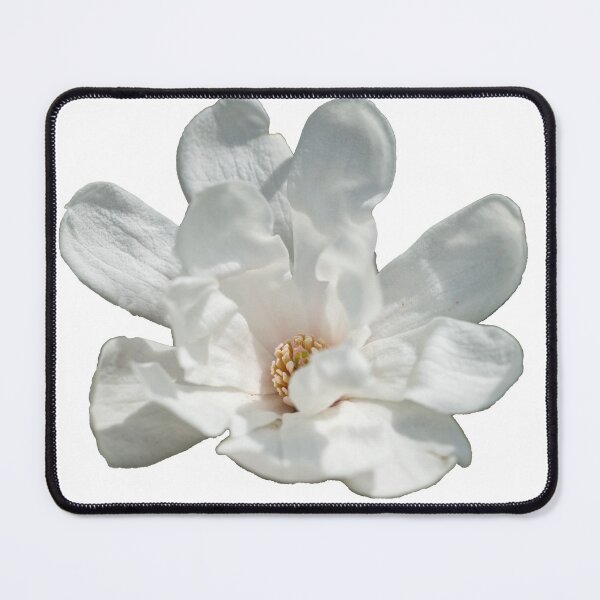 Item preview, White Merrill Loebner Magnolia Bloom designed and sold by mljdwhite.