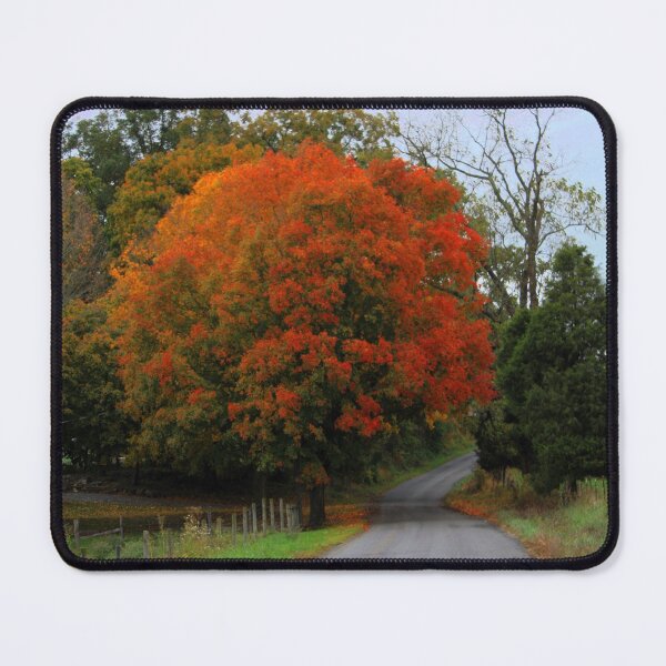 Item preview, Autumn in Washington County Virginia designed and sold by chstudios.